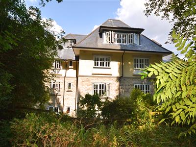 Picture 19